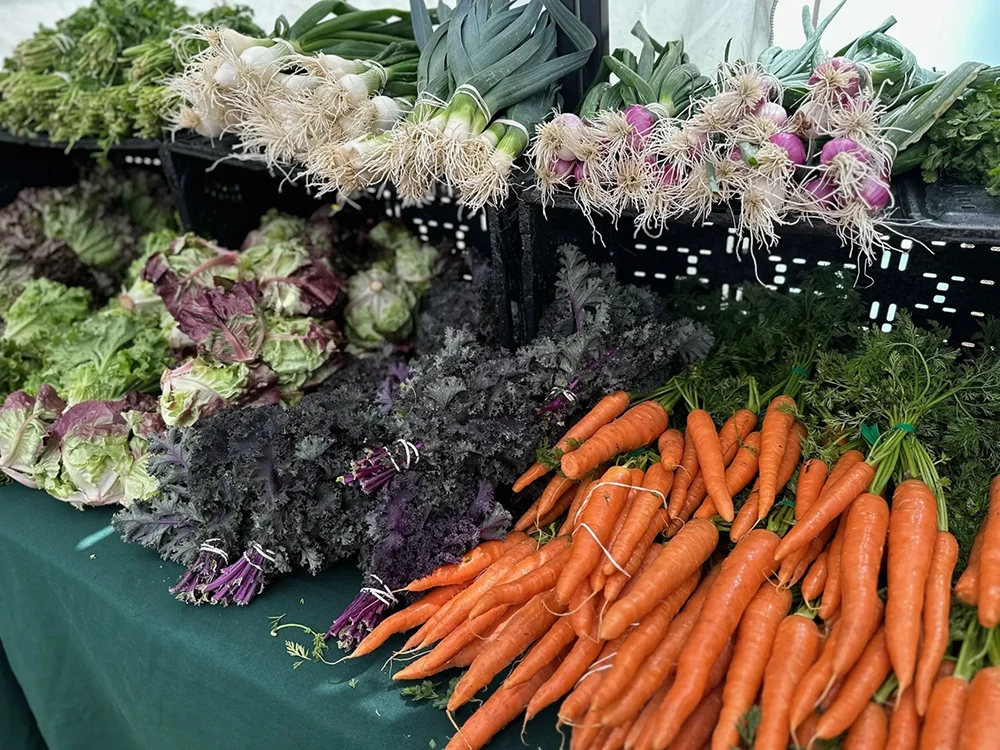 fresh vegetables